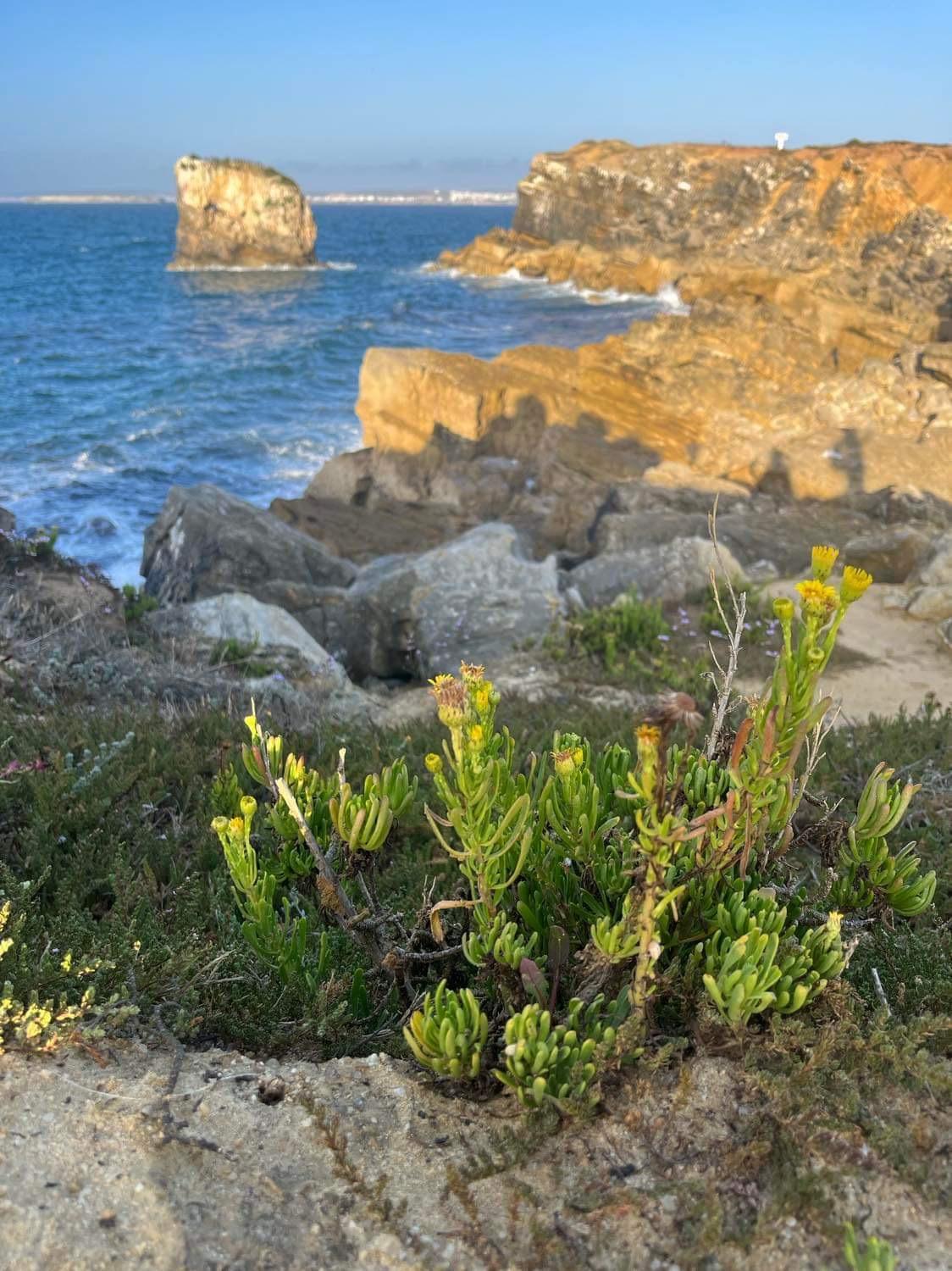 Peniche Hostel Dış mekan fotoğraf